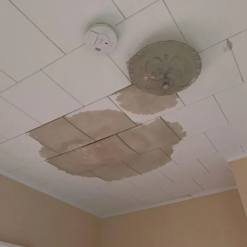 Ceiling Water Damage Repair in Lorenz Park, NY
