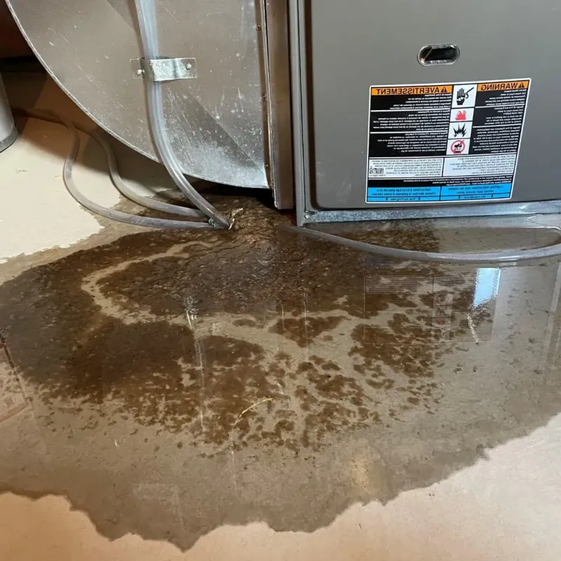 Pipe Burst and Leak Restoration in Lorenz Park, NY
