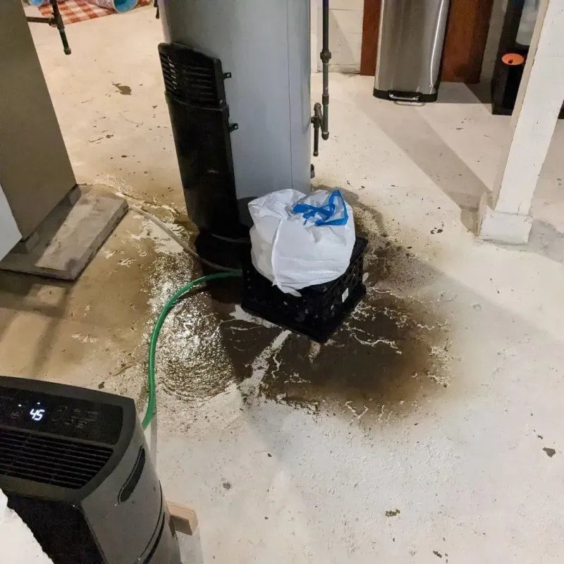 Sewage Backup Cleanup Service in Lorenz Park, NY